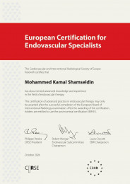 Ebir ES 2024 diploma Mohammed Kamal Shamsel 1
