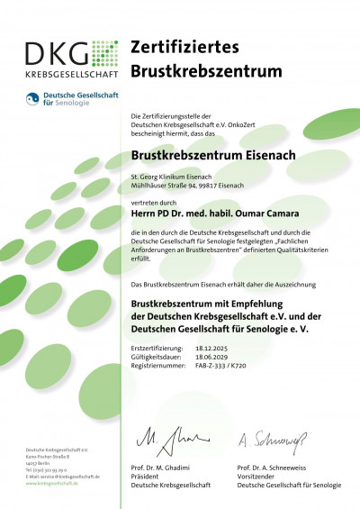 Bz333 2025 zertifikat A1 290618 260304 CA 1